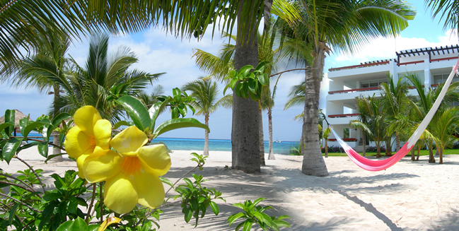 relax in a hammock, after a morning scuba dive trip from the pier.