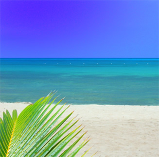 Looking for a beachfront vacation home on the Carribean sea?